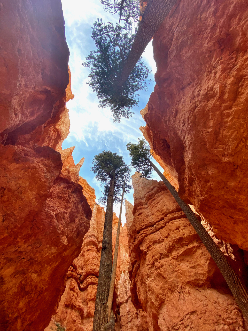 Bryce Amphitheater. MemExp Blog. Rohan Goel