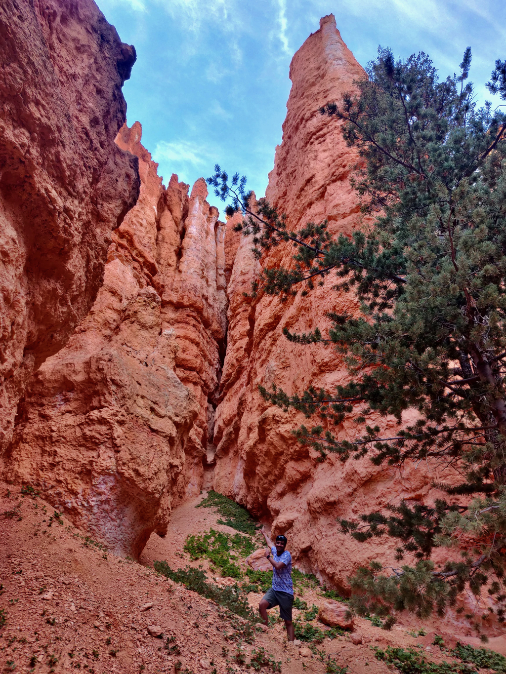 =Bryce Amphitheater. MemExp Blog. Rohan Goel