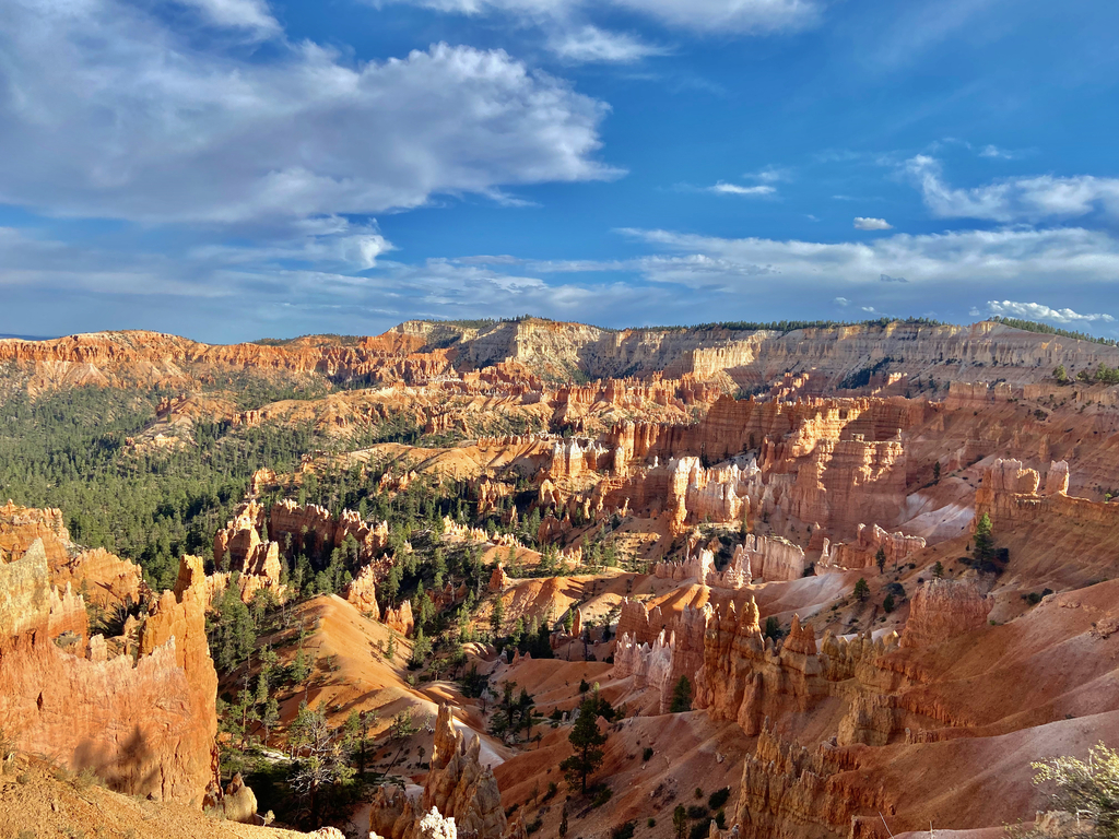 =Bryce Amphitheater. MemExp Blog. Rohan Goel