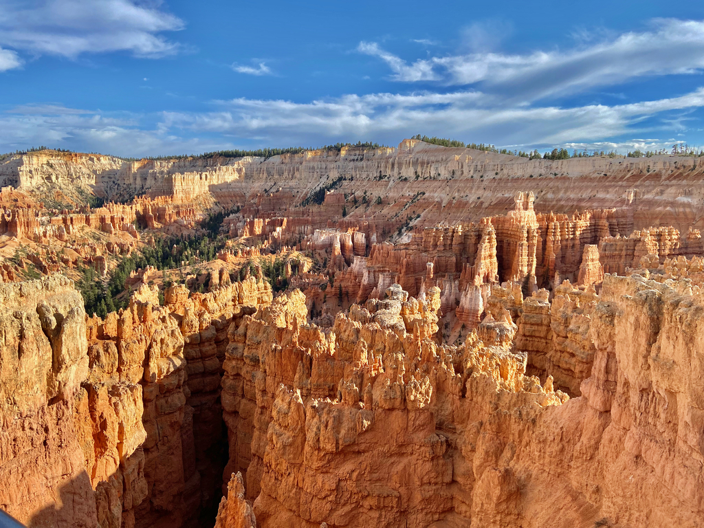 Bryce Amphitheater. MemExp Blog. Rohan Goel