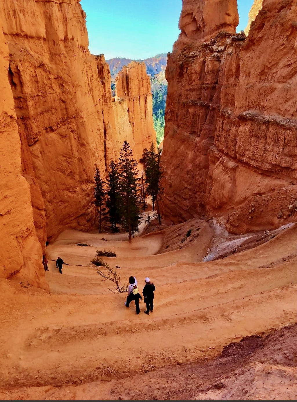 =Bryce Amphitheater. MemExp Blog. Rohan Goel