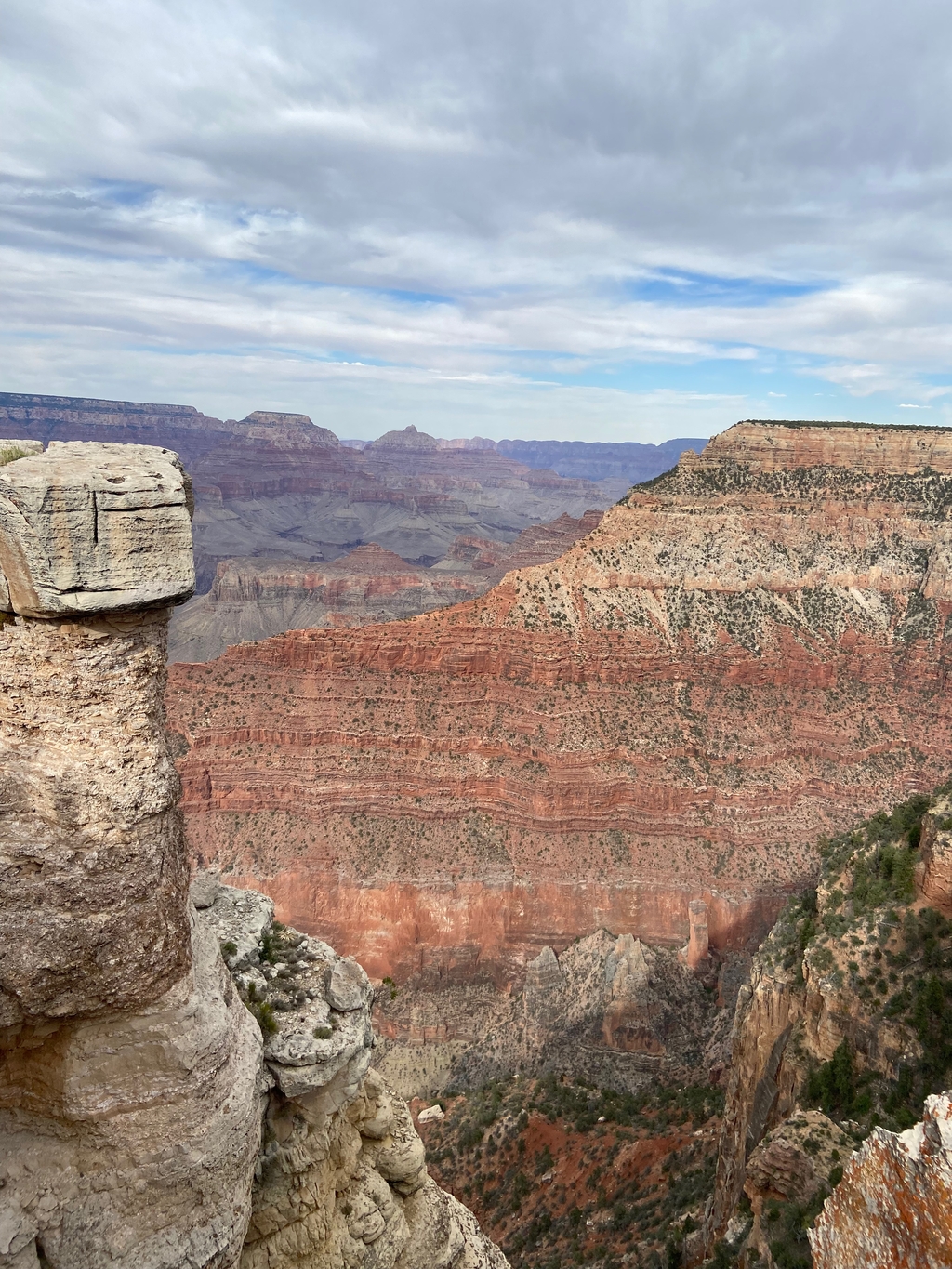 Graaand Canyon. MemExp Blog. Rohan Goel