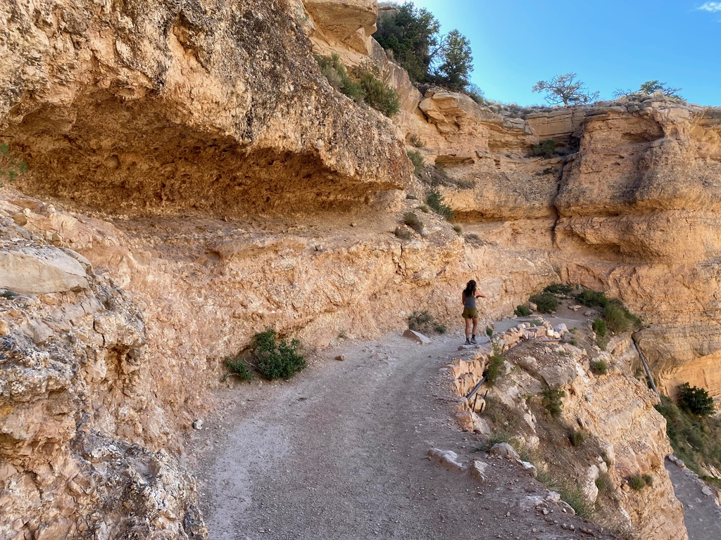 Graaand Canyon. MemExp Blog. Rohan Goel