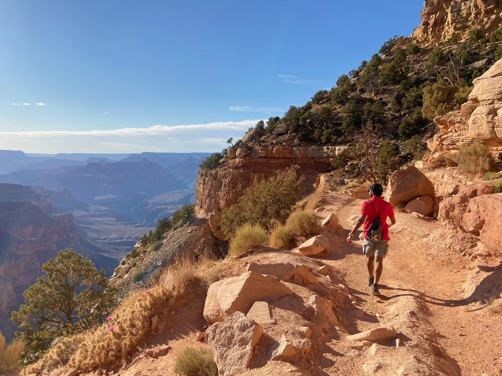 Graaand Canyon. MemExp Blog. Rohan Goel