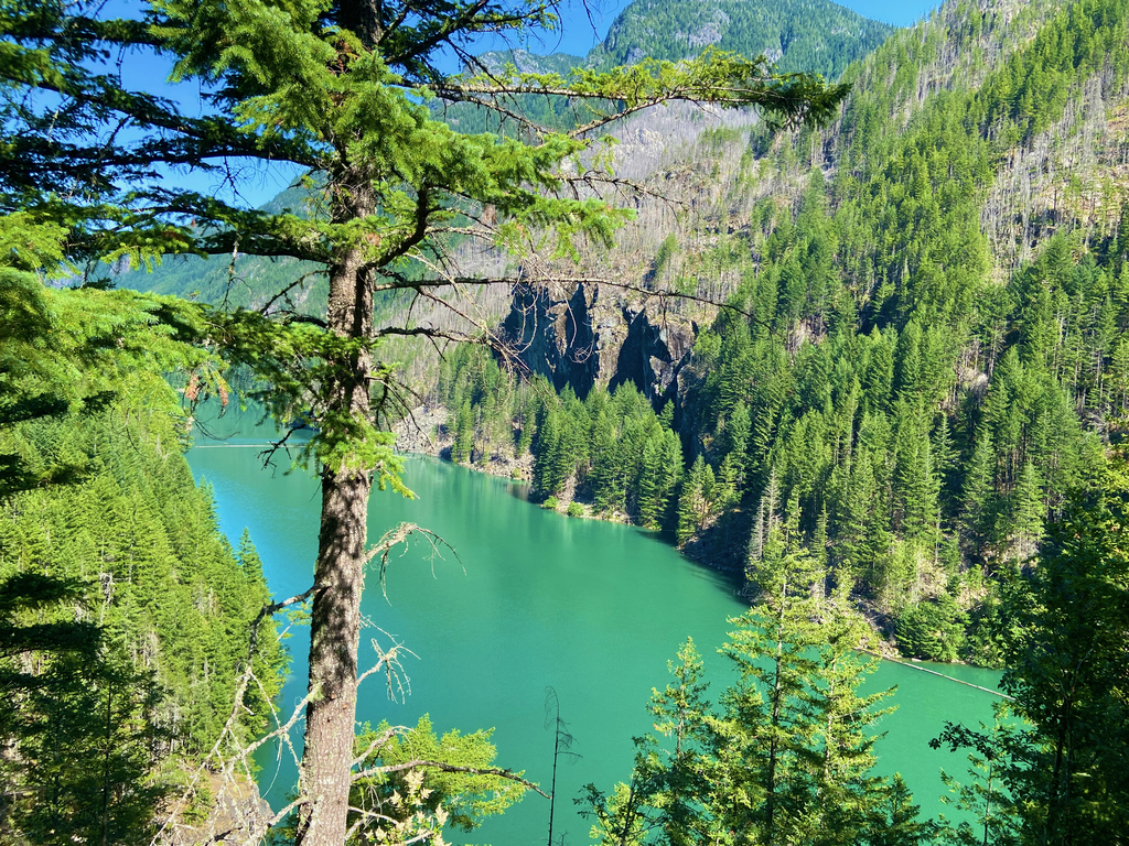 Northern Cascades. MemExp Blog. Rohan Goel