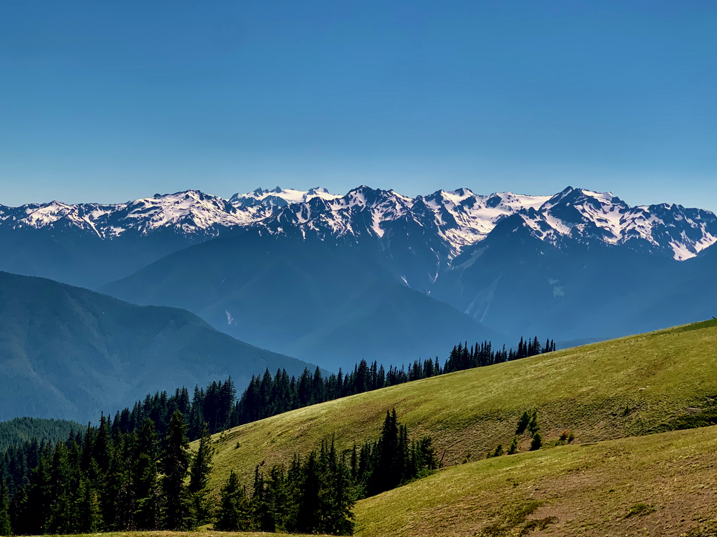 Olympic Peninsula. MemExp Blog. Rohan Goel