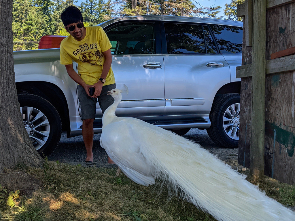 Olympic Peninsula. MemExp Blog. Rohan Goel