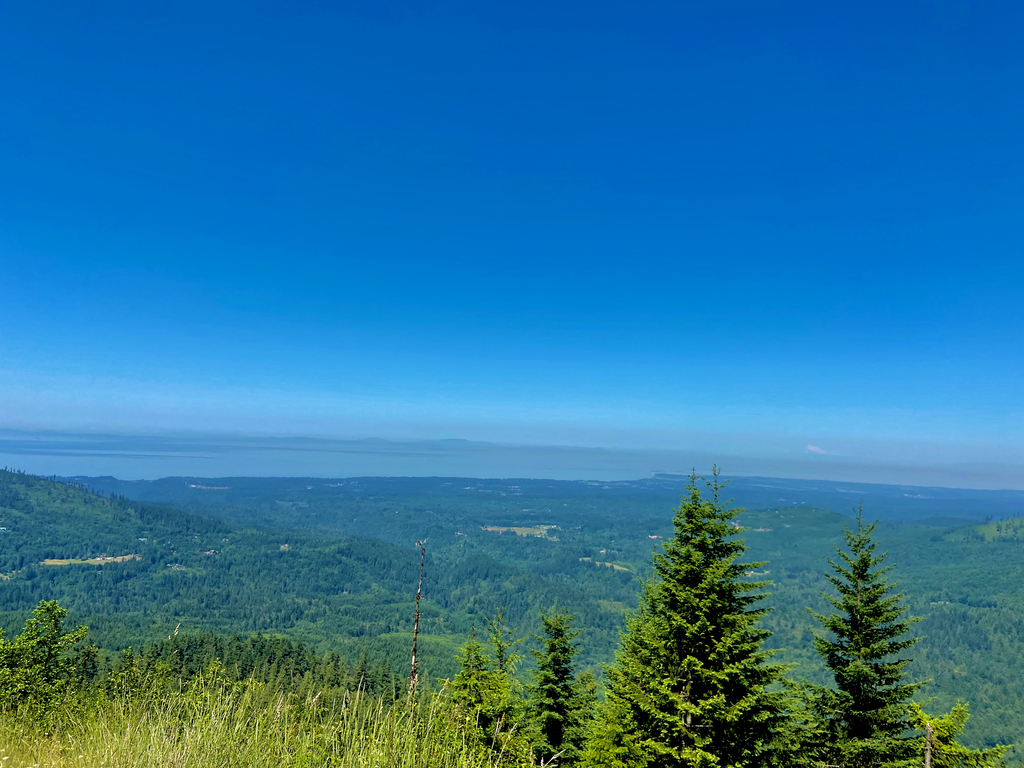 Olympic Peninsula. MemExp Blog. Rohan Goel