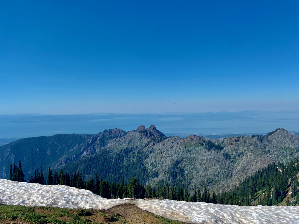 Olympic Peninsula. MemExp Blog. Rohan Goel