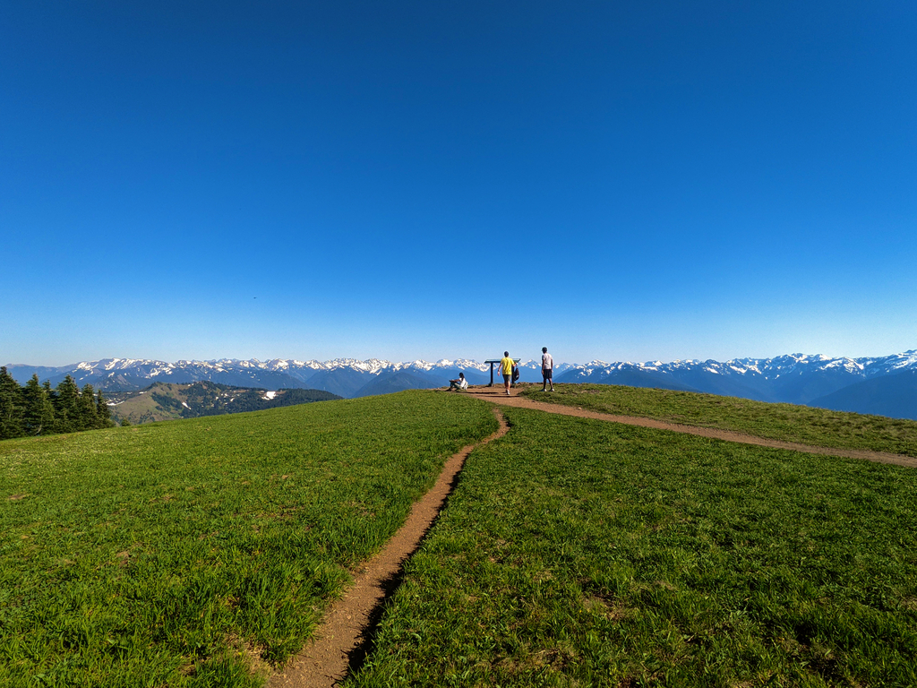 Olympic Peninsula. MemExp Blog. Rohan Goel