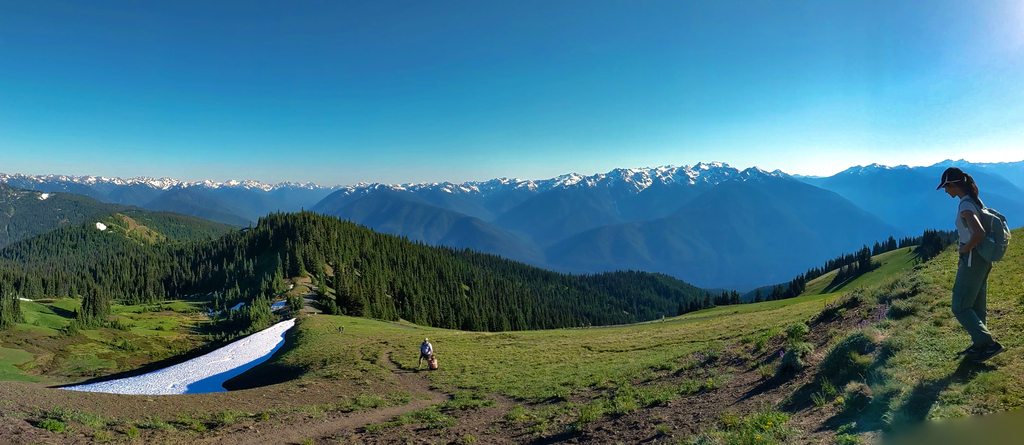 Olympic Peninsula. MemExp Blog. Rohan Goel