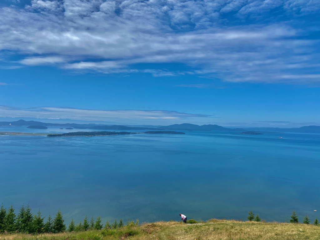 Oyster Dome Trail. MemExp Blog. Rohan Goel