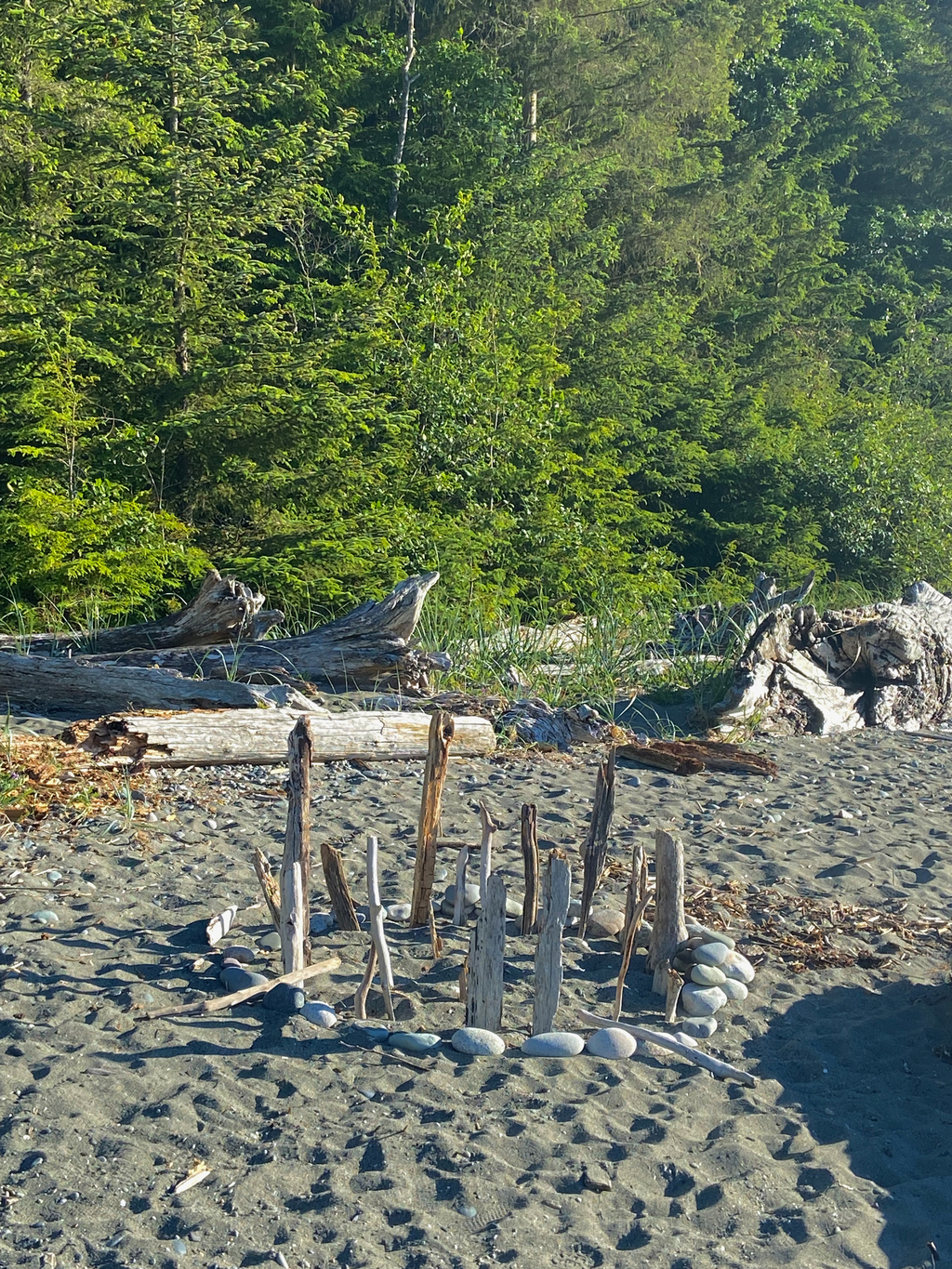 Oyster Dome Trail. MemExp Blog. Rohan Goel