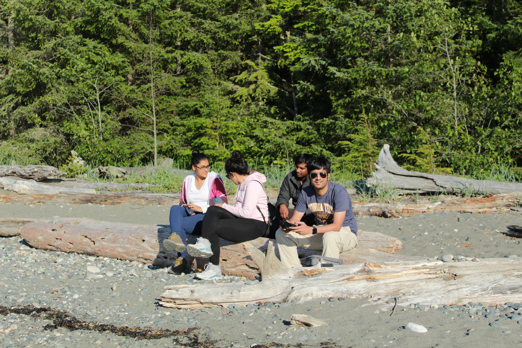 Oyster Dome Trail. MemExp Blog. Rohan Goel