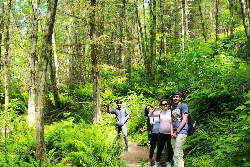 Oyster Dome Trail. MemExp Blog. Rohan Goel