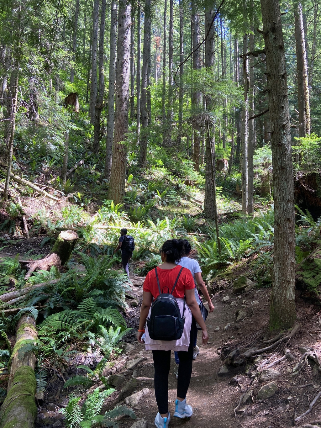 Oyster Dome Trail. MemExp Blog. Rohan Goel