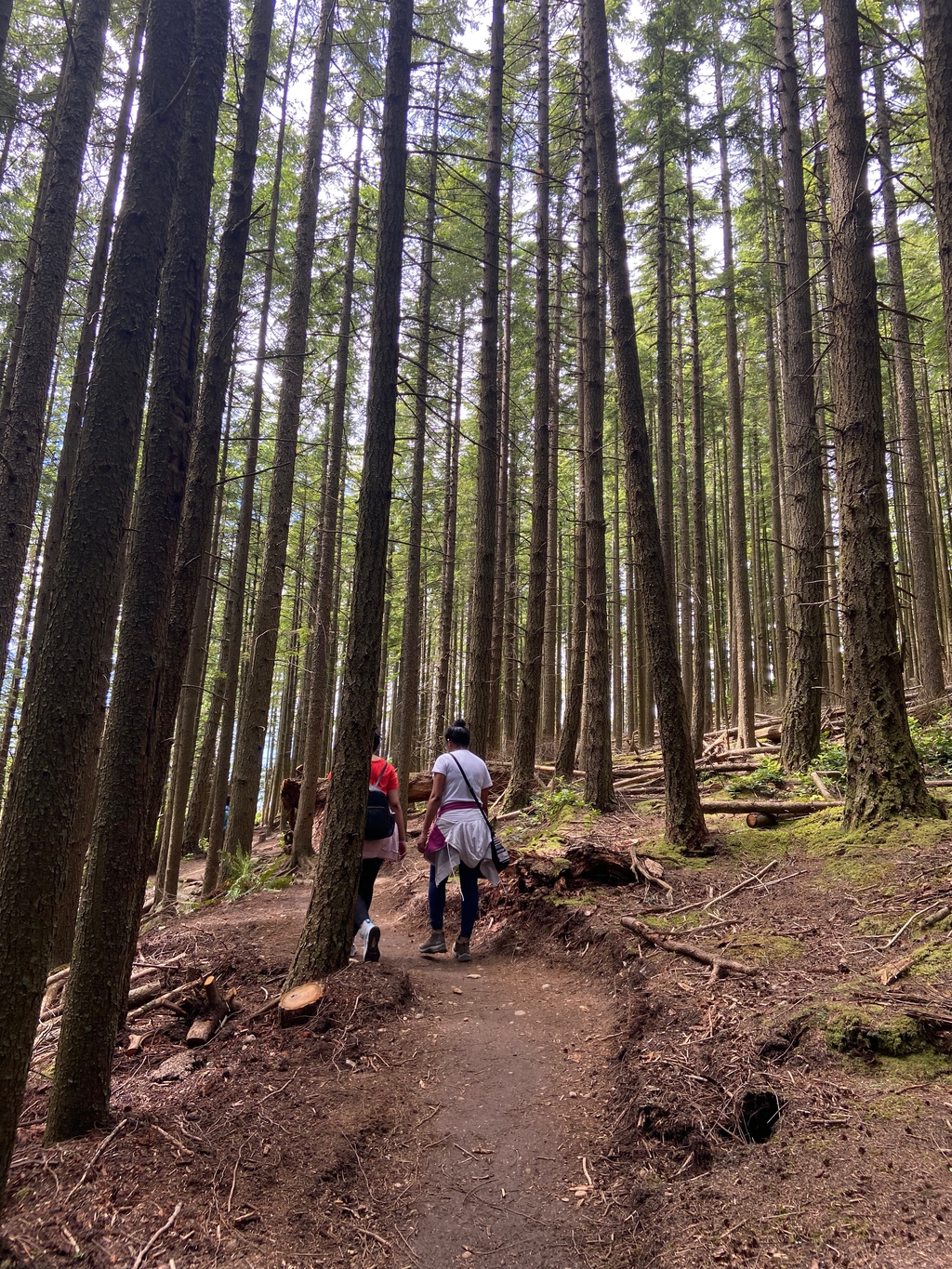 Oyster Dome Trail. MemExp Blog. Rohan Goel