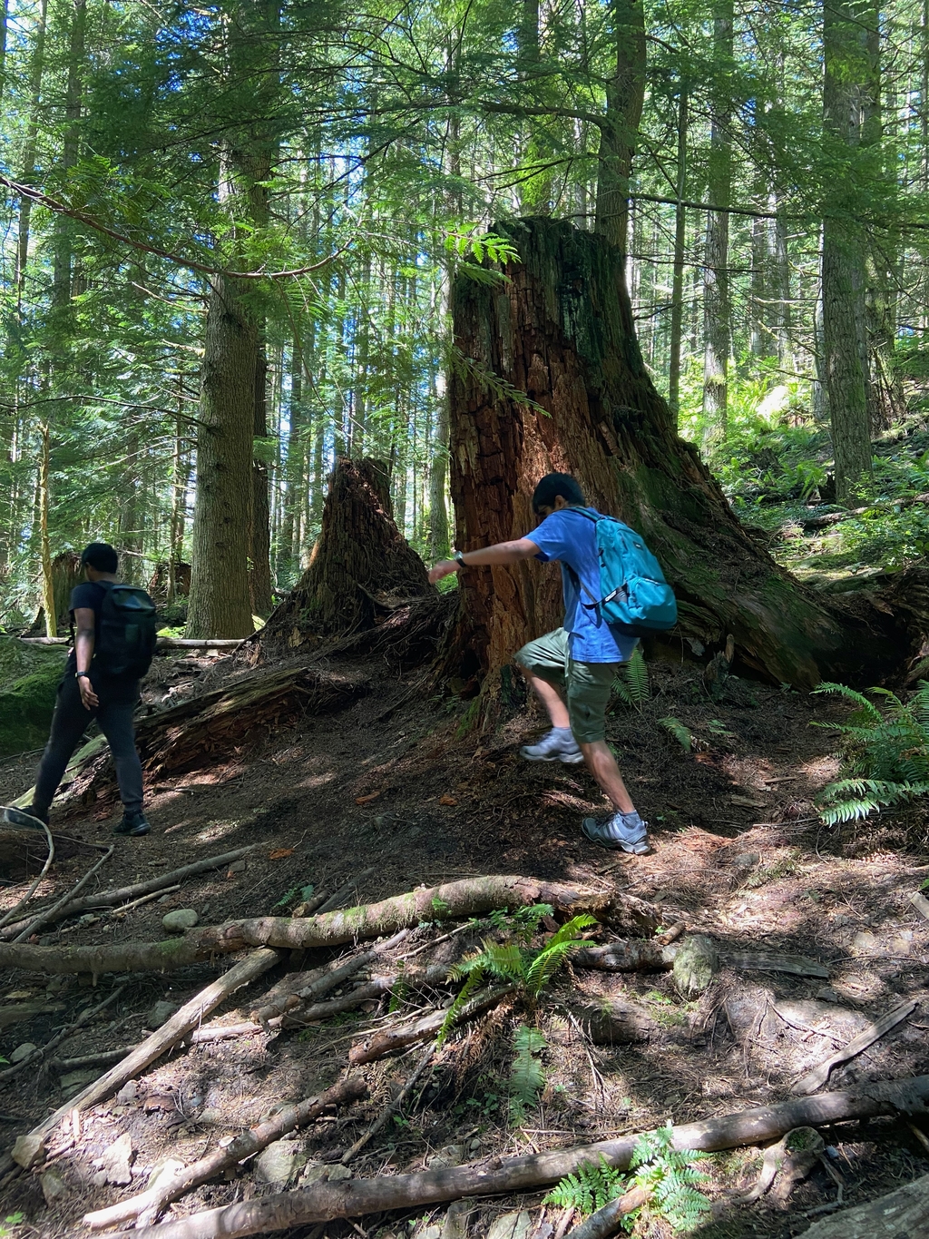 Oyster Dome Trail. MemExp Blog. Rohan Goel