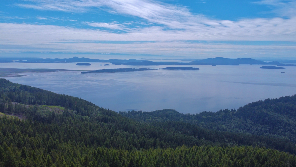 Oyster Dome Trail. MemExp Blog. Rohan Goel