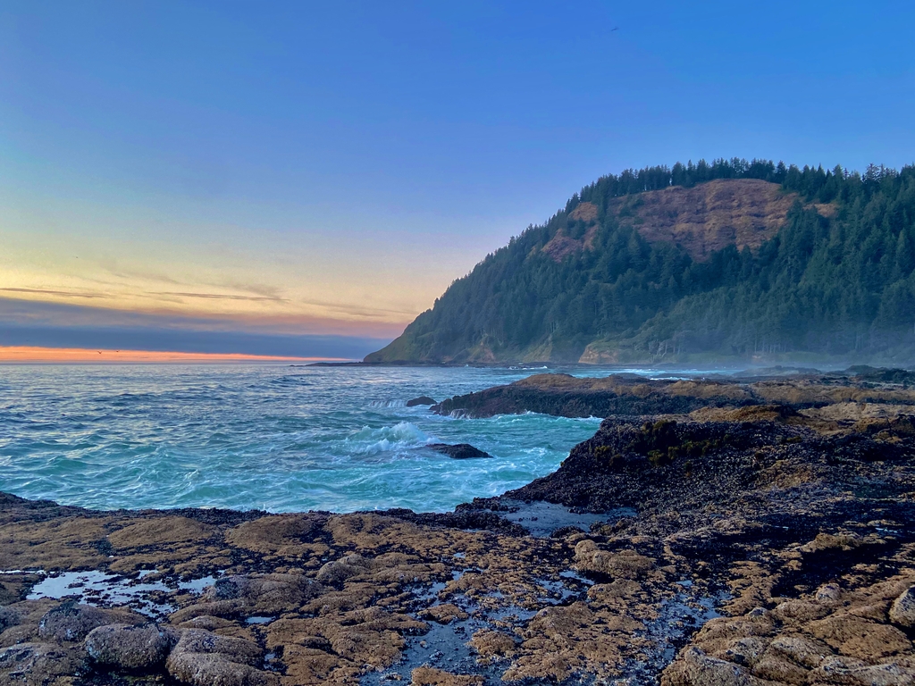 Oregon Coast. MemExp Blog. Rohan Goel