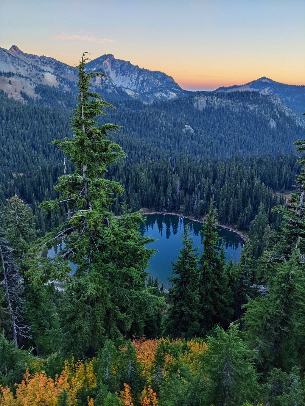 Fascinating Fremont Lookout. MemExp Blog. Rohan Goel