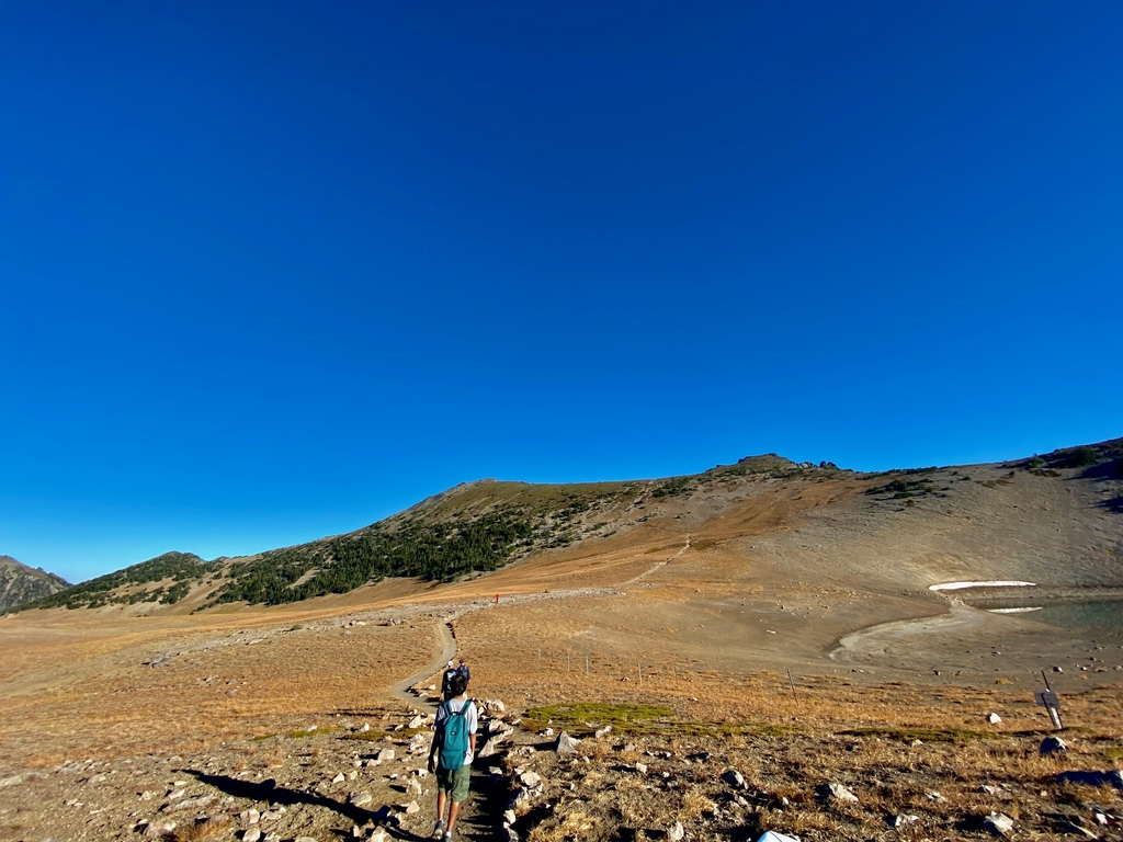 =Fascinating Fremont Lookout. MemExp Blog. Rohan Goel