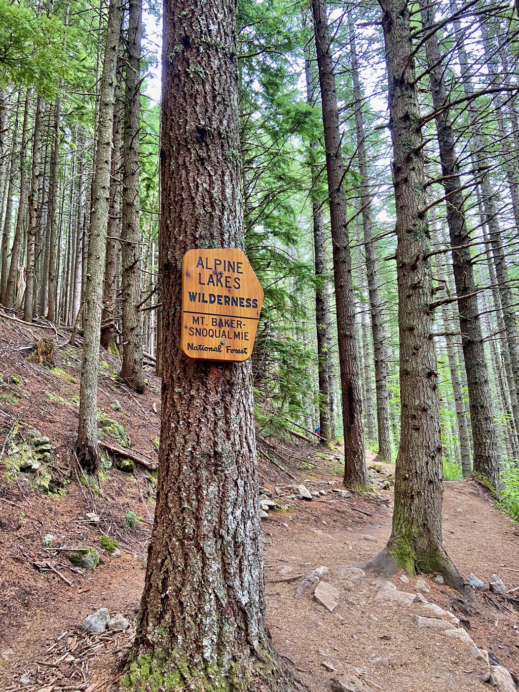 Amongst Alpine Lakes. MemExp Blog. Rohan Goel