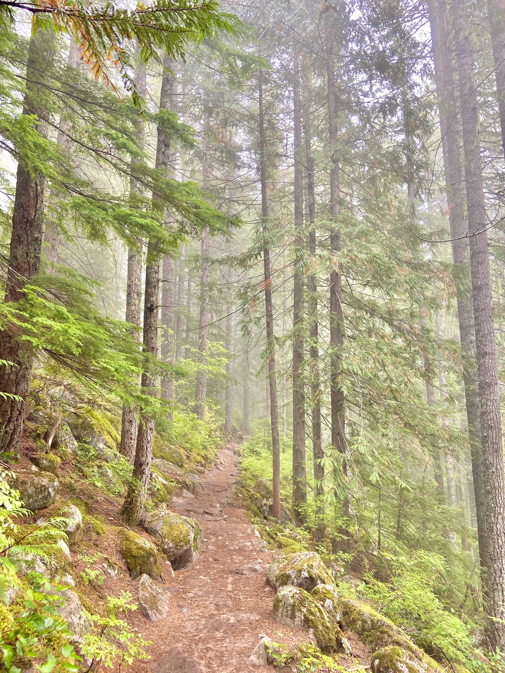 Amongst Alpine Lakes. MemExp Blog. Rohan Goel