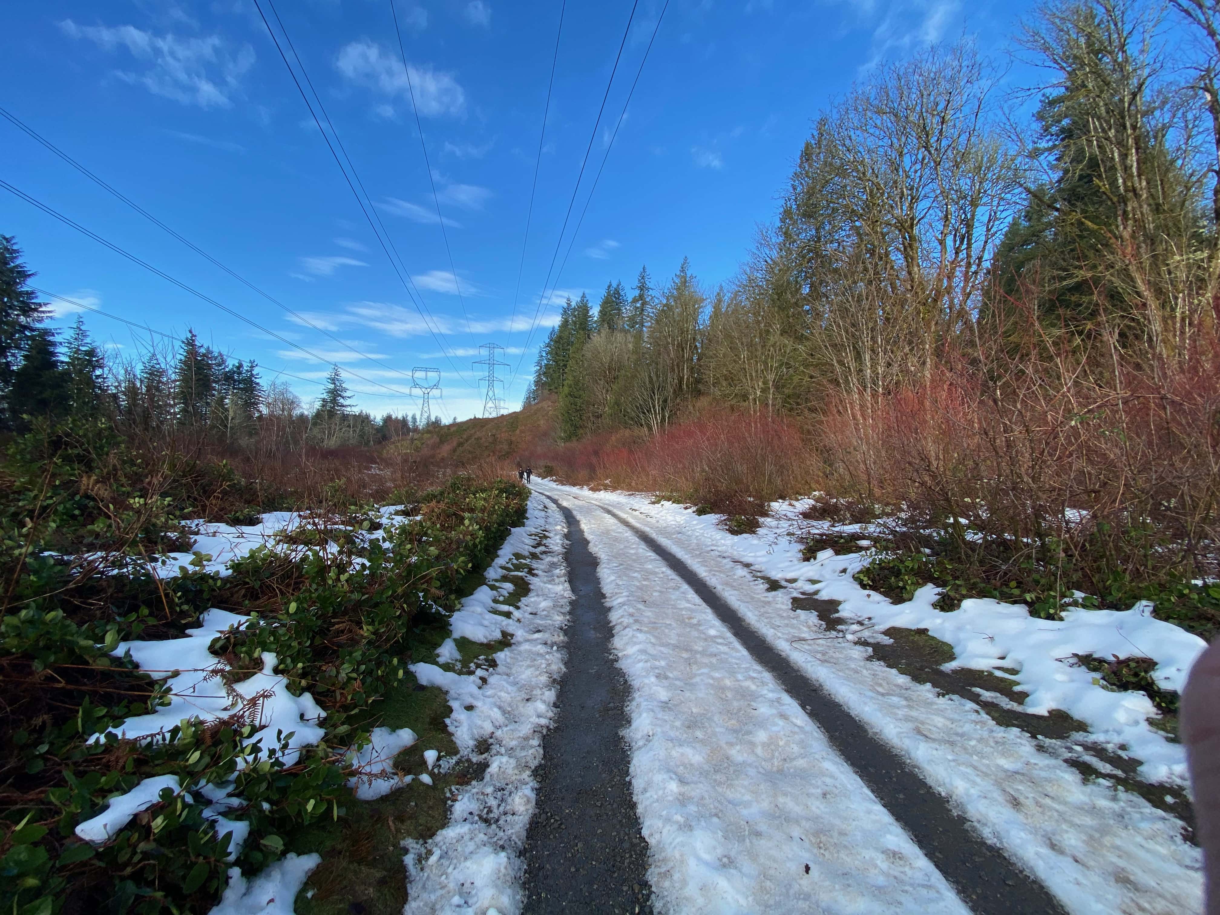 =Wondeful Wallace Falls. MemExp Blog. Rohan Goel