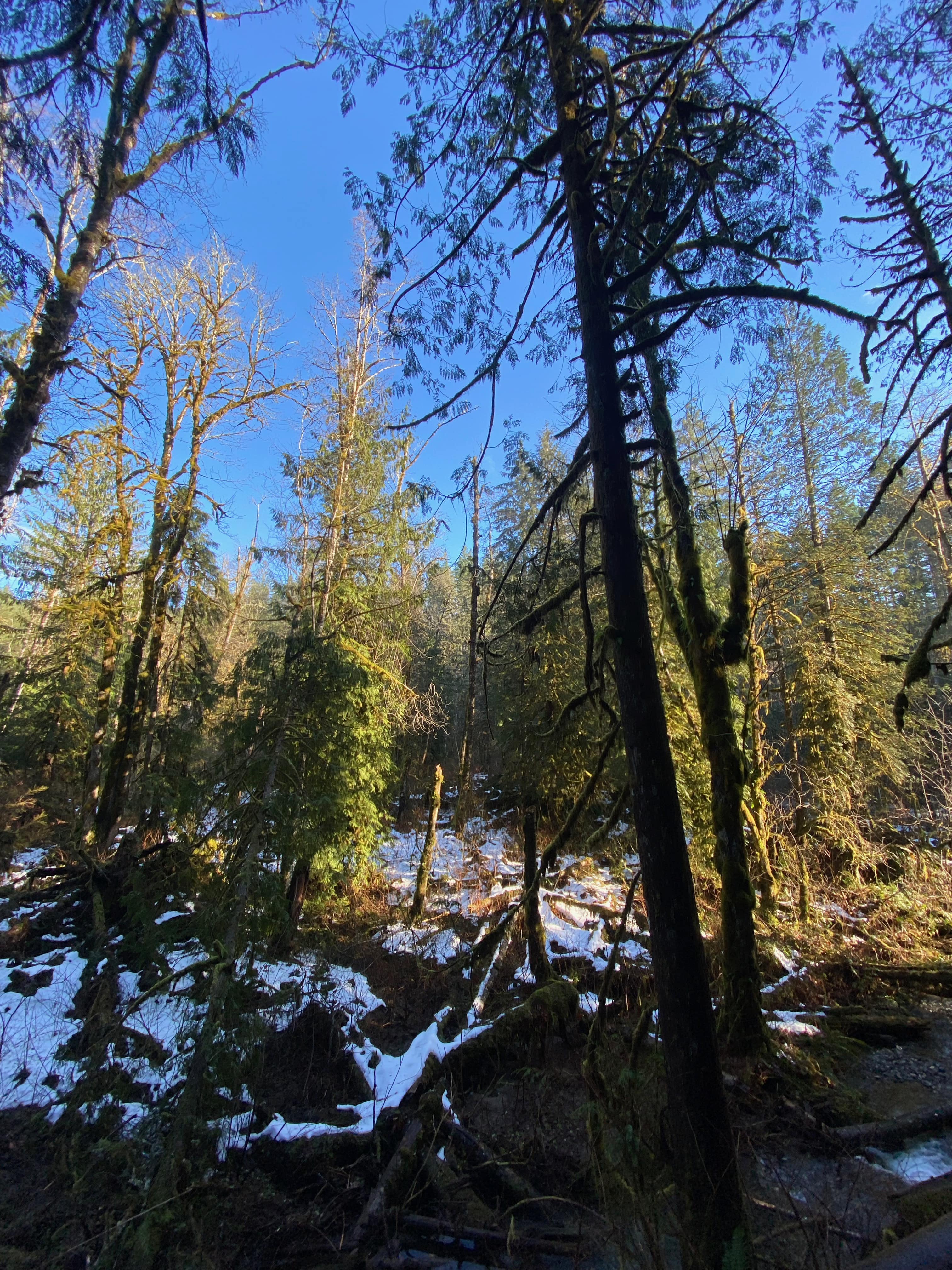 Wondeful Wallace Falls. MemExp Blog. Rohan Goel