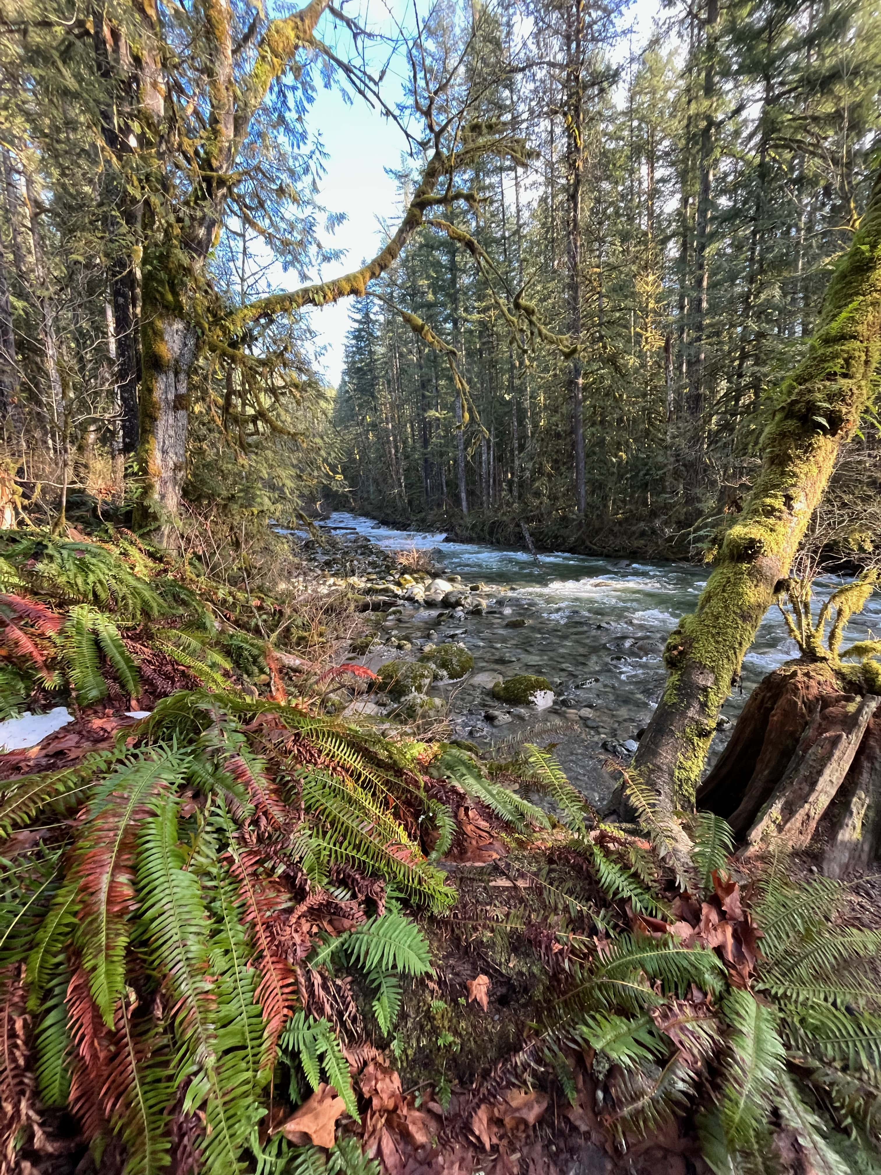 Wondeful Wallace Falls. MemExp Blog. Rohan Goel