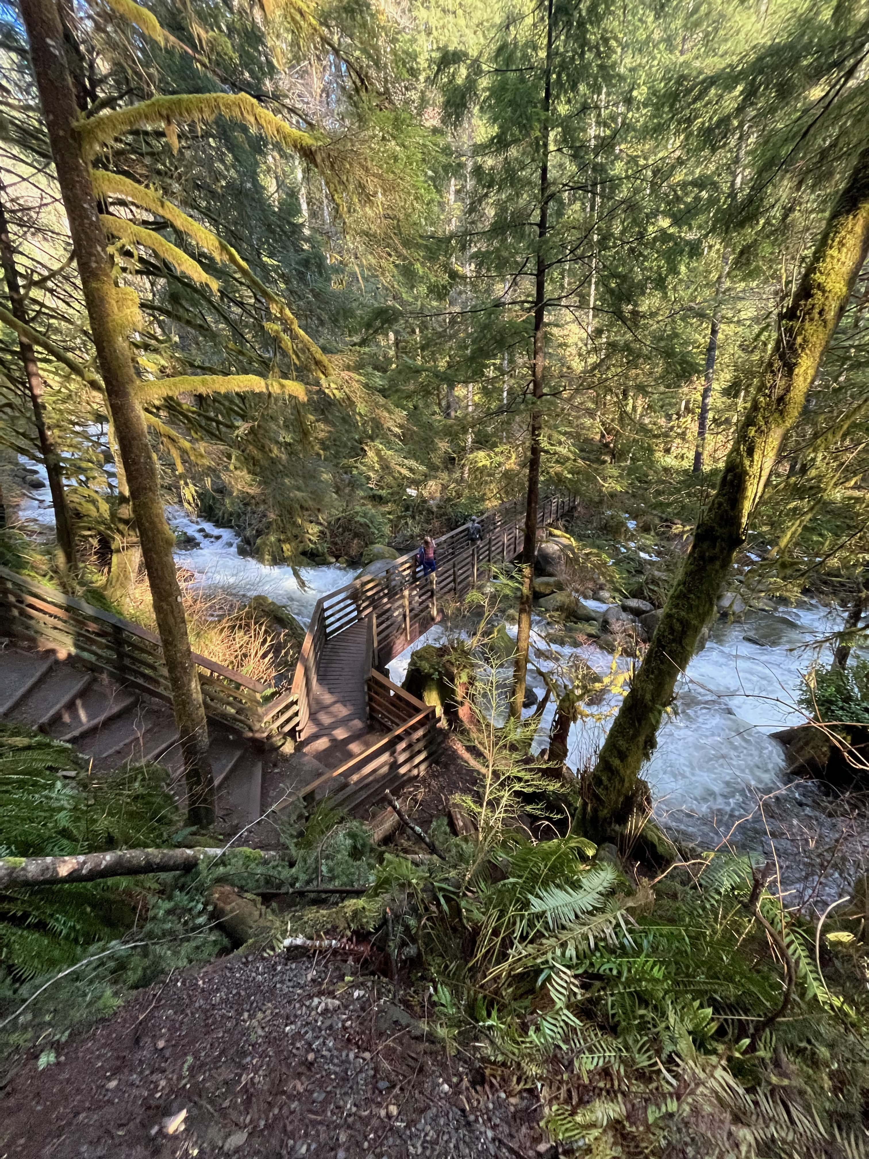 Wondeful Wallace Falls. MemExp Blog. Rohan Goel