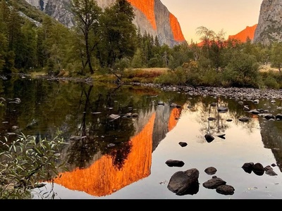 Yappy Yosemite in Yosemite National Park, CA, USA
