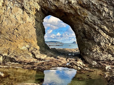 Outstanding Olympic Peninsula in Olympic Peninsula, WA, USA