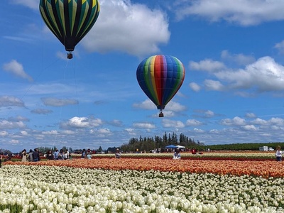 Spring in WA in Seattle, Washington, USA