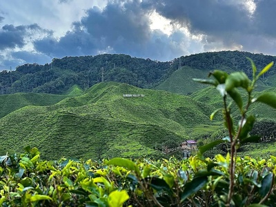 Classy Cameron Highlands in Cameron Highlands, Pahang, Malaysia, Malaysia